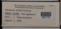 Image Associated With the Occurence